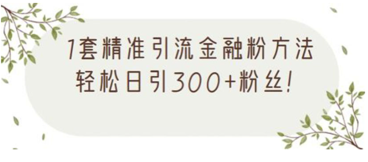 金融精准引流方法视频课程