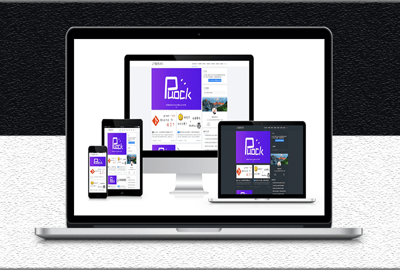 一款高颜值的自适应wordpress主题-Puock主题
