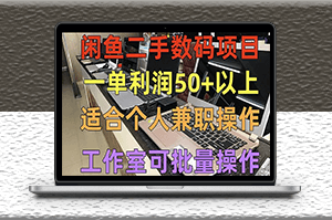 闲鱼二手数码项目_适合做副业_工作室可批量放大操作-资源网站