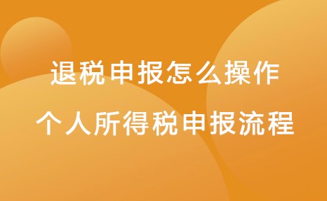 2022年个人所得税申请退税怎么操作-资源网站