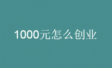 1000元投资创业项目-资源网站