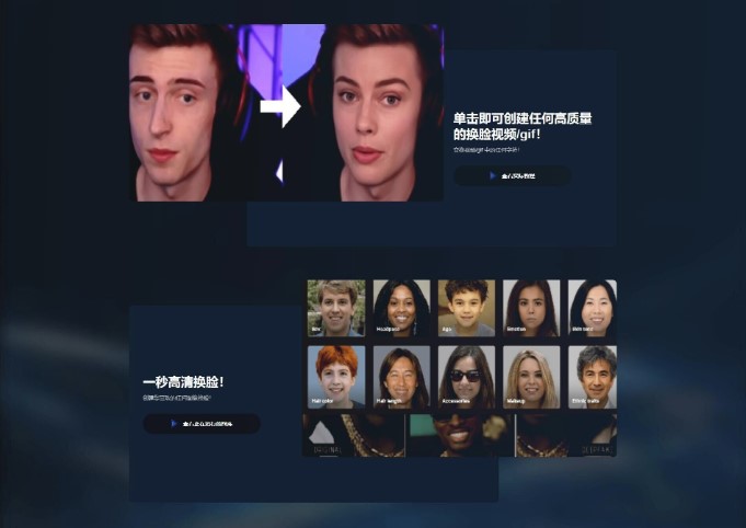 FaceSwap: 直播换脸软件 v1.0.0-资源网站