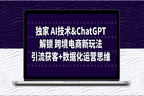 跨境电商新玩法_AI技术引流获客+数据化运营思维-资源网站