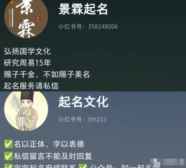 宝宝起名项目，月入1万+保姆级教程!(附赚钱攻略)-资源网站