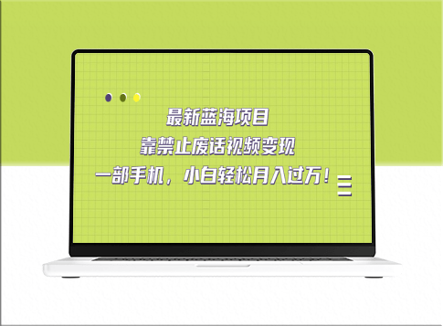 蓝海项目：通过禁止废话视频变现_实现月入过万-资源网站