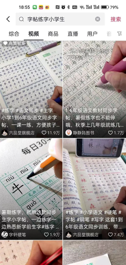 字帖项目：短视频制作教程-资源网站