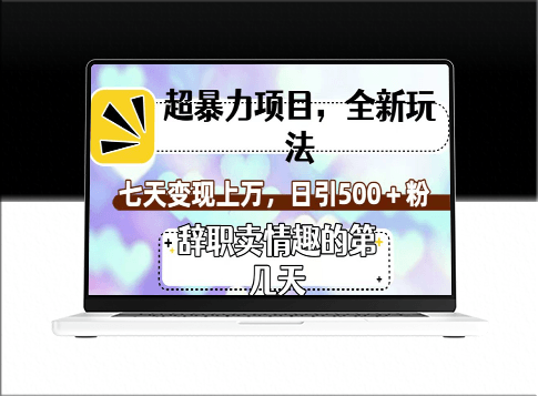 全新玩法暴利项目_卖情趣七天变现上万-资源网站