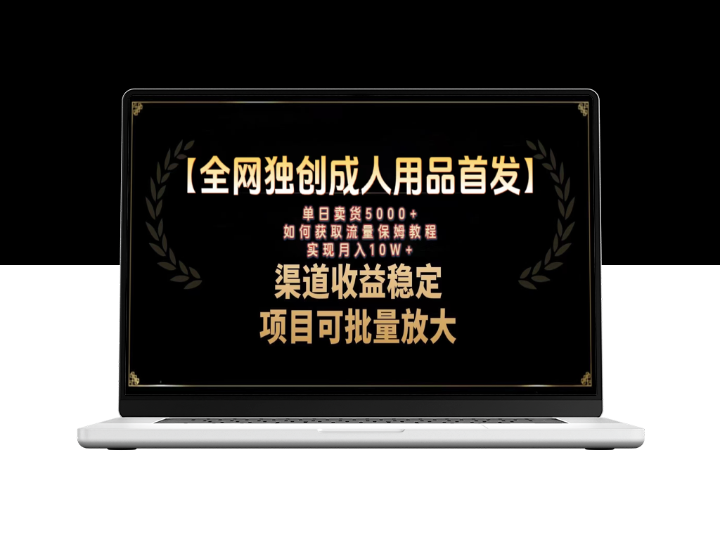 如何利用成人用品领域进行精准引流_实现月入10万的保姆级教程