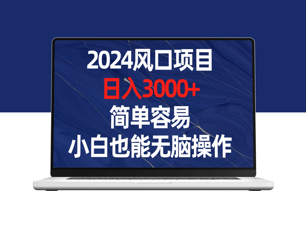 2024风口项目_日入3000+_简单容易_小白也能无脑操作-资源网站