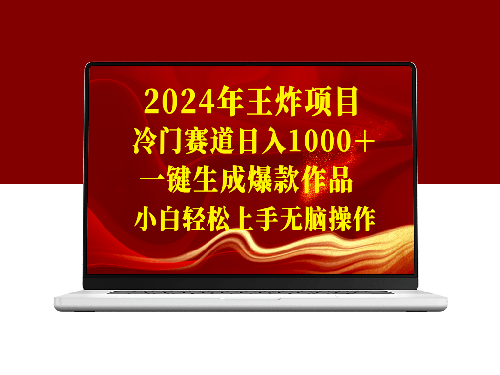 2024年王炸项目：冷门赛道_日收入1000+