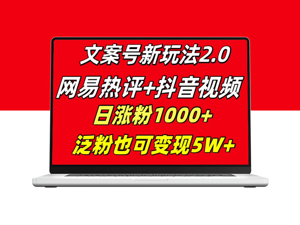 网易热评+抖音文案_多种变现_泛粉也能实现-资源网站