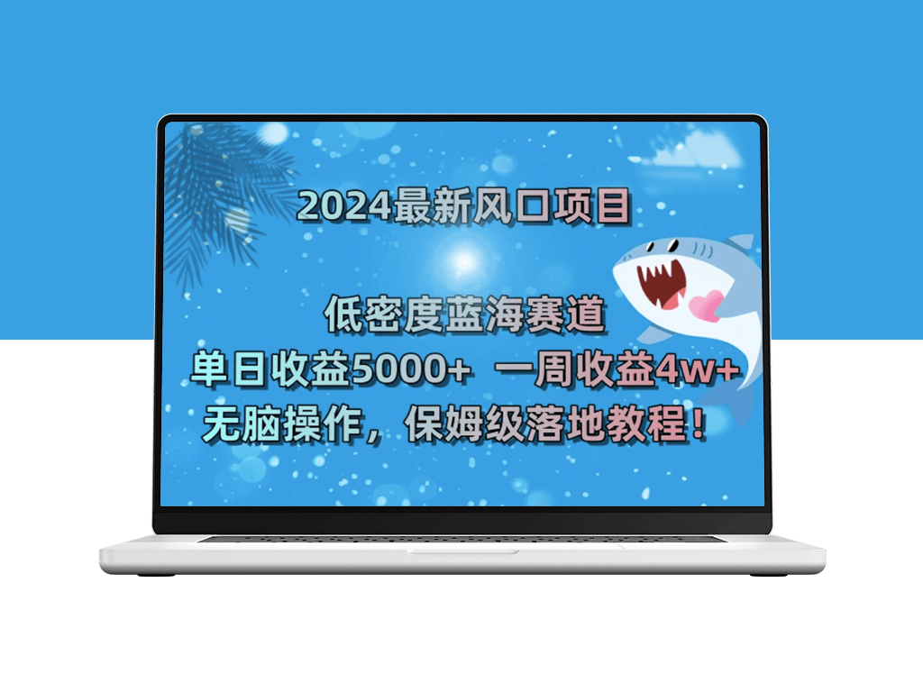 2024最新风口项目：日收益5000+周收益4w+无脑操作-资源网站