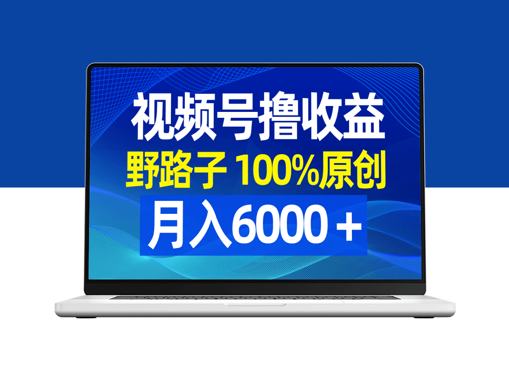 视频号野路子_月入6000＋_100%原创_条条爆款-资源网站