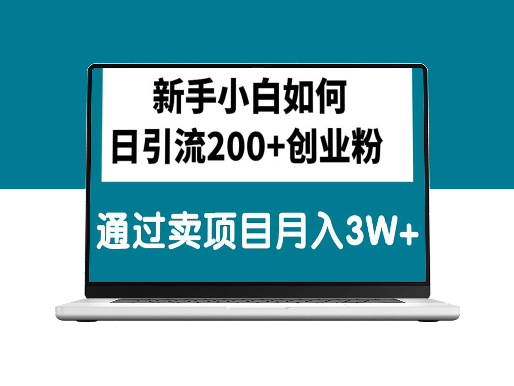 日引200+精准粉丝_月入3万+的独家项目销售-资源网站