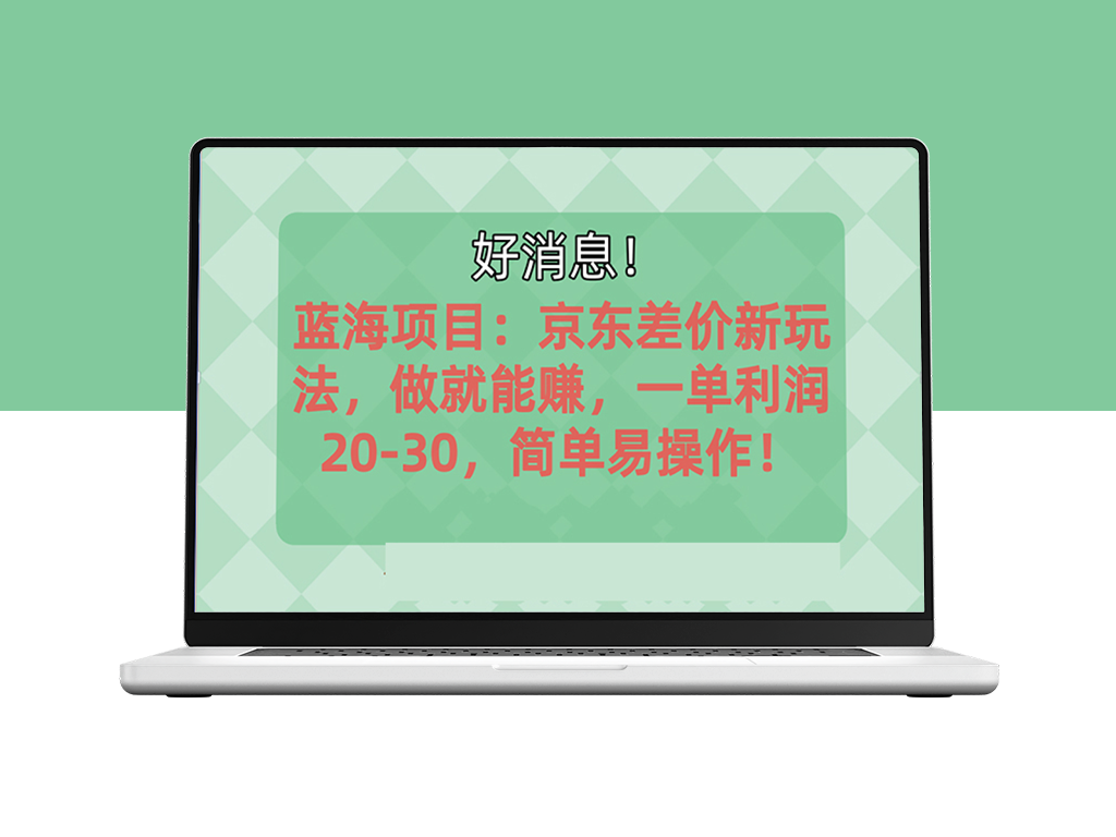 京东平台蓝海市场：如何实现每单20-30元利润-资源网站