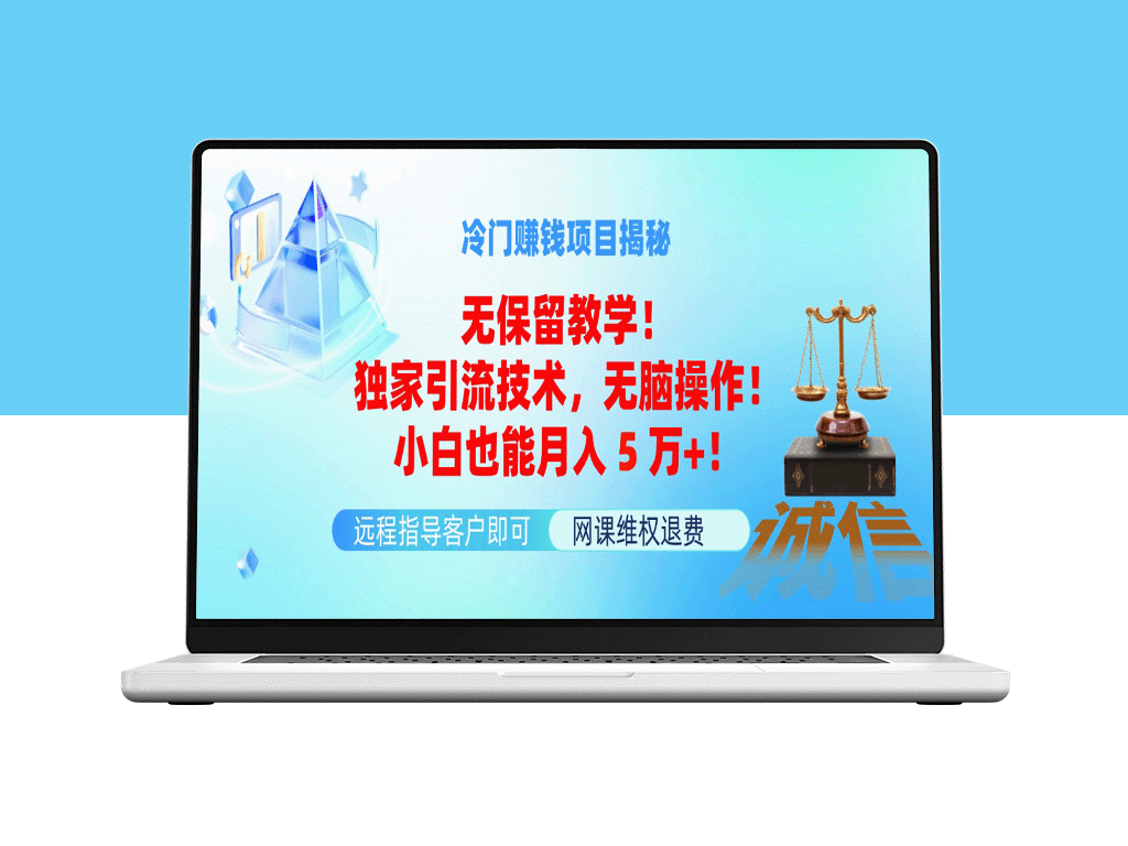 独家引流技巧：小白也能月入5万_冷门赚钱项目全面攻略-资源网站