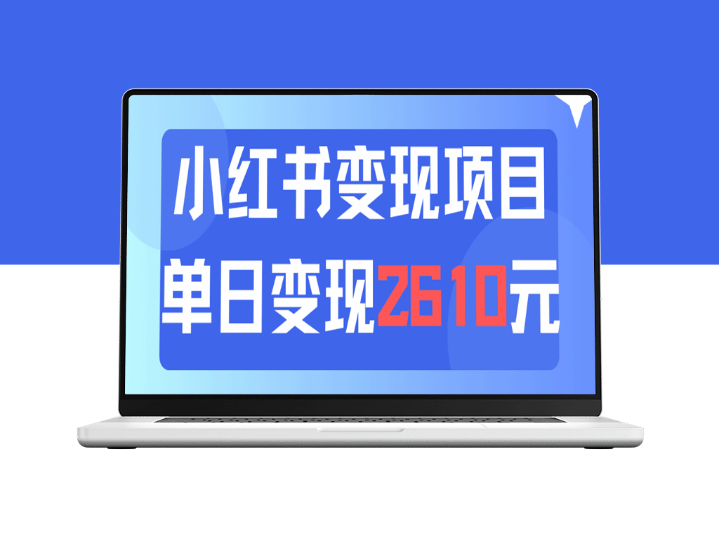 小红书营销：单日吸引150+访客_教你如何利用小红书快速变现2610元-资源网站