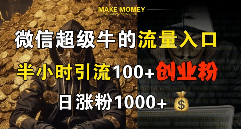 微信流量黑科技：30分钟引流100+创业粉_日增粉丝破千