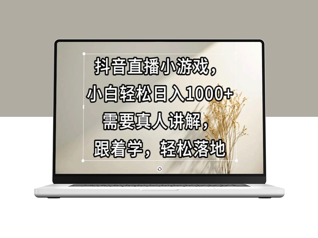 抖音直播小游戏：新手日赚1000+_跟随真人教学快速上手